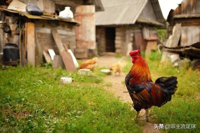 父亲二三事,父亲二三事作文结尾