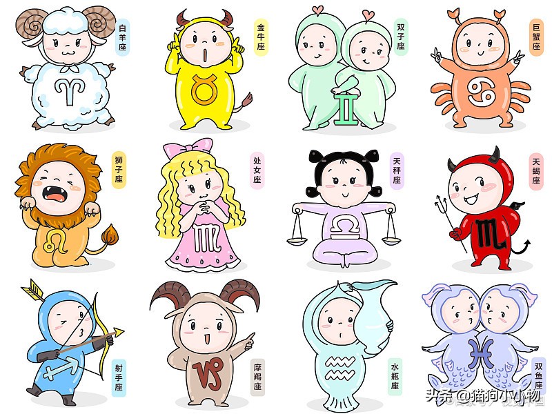 十二星座最适合养猫还是狗,十二星座不适合养的狗狗