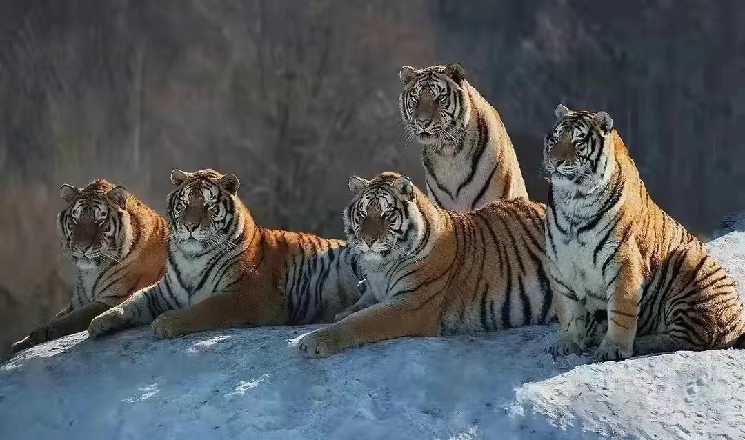 合肥卓越高中重点班怎么样,盘点合肥一流高中最强班