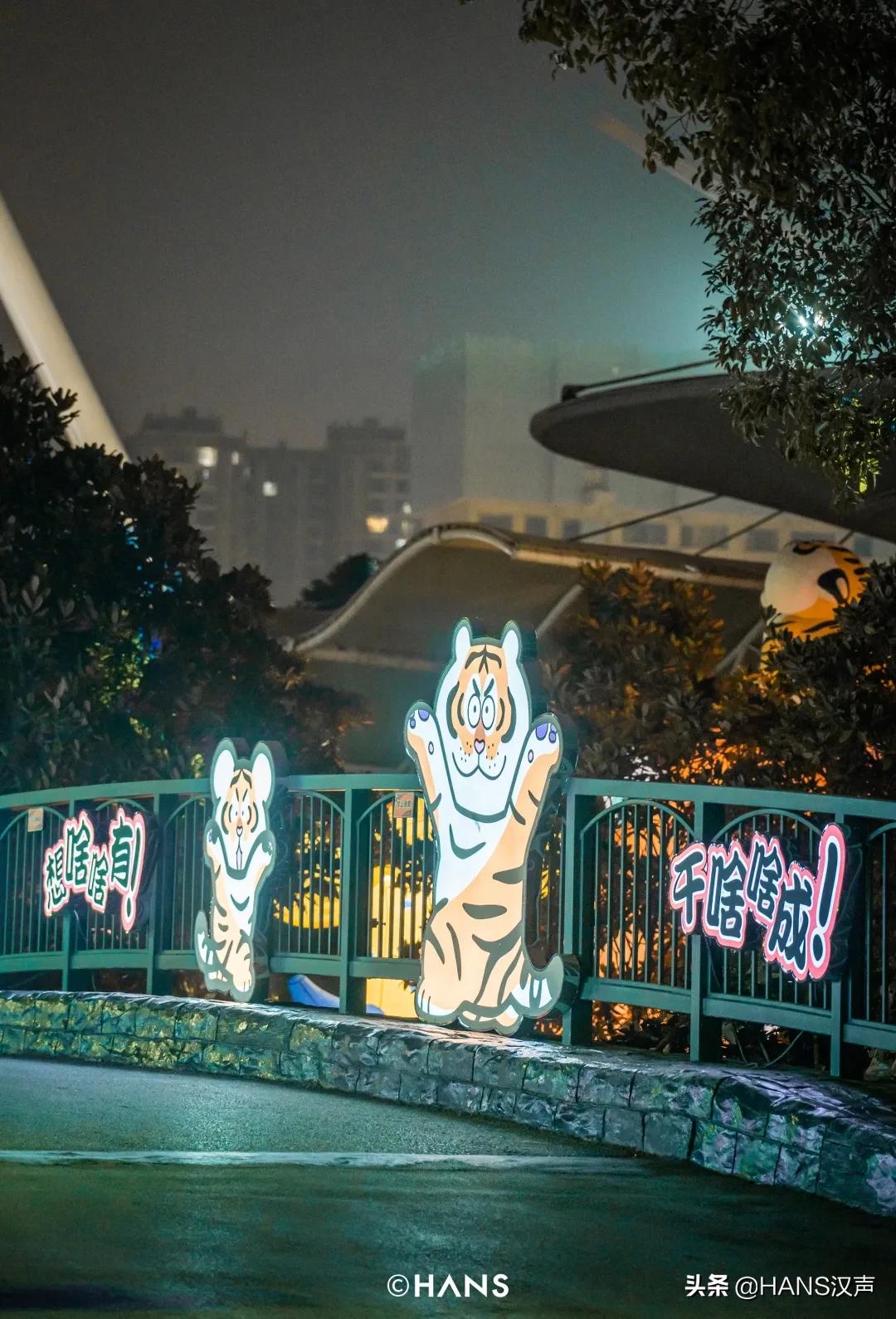 请注意！胖虎出没武汉街头