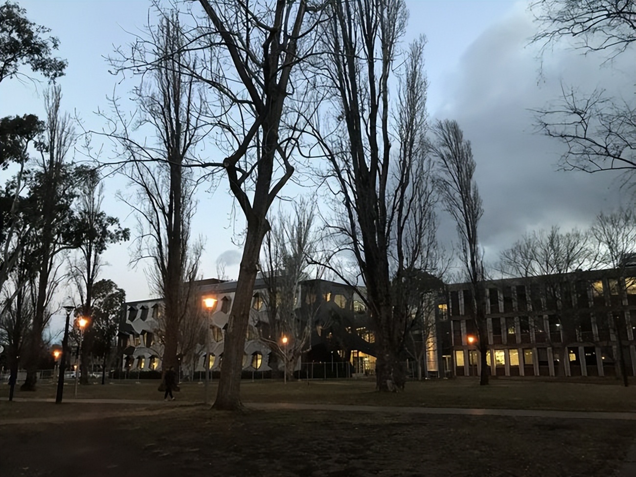 中国女留学生美国被性侵报案程序,中国女留学生遭同伴毒打