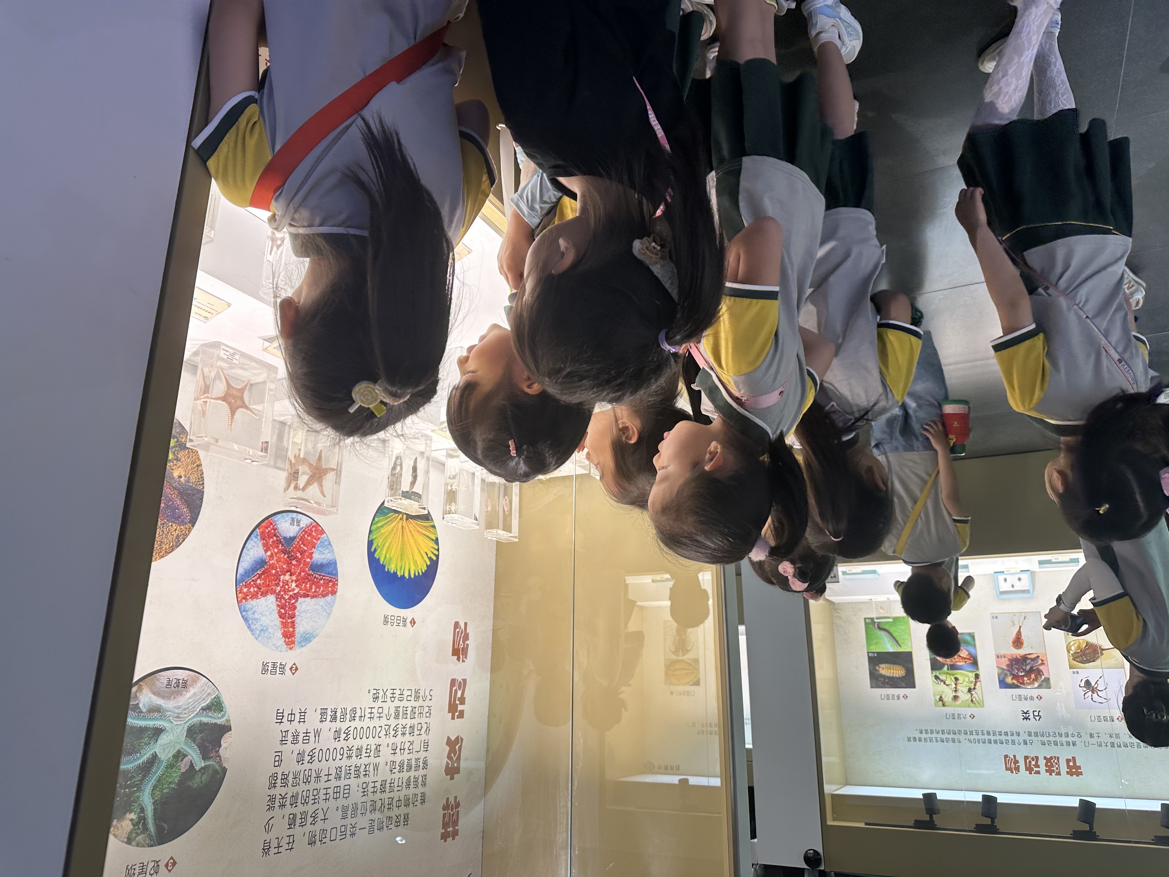 郑州亲子游的好去处室内有水,郑州适合亲子玩水的地方