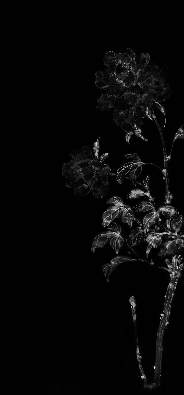 黑白花朵壁纸超清,全屏花朵壁纸无水印黑白