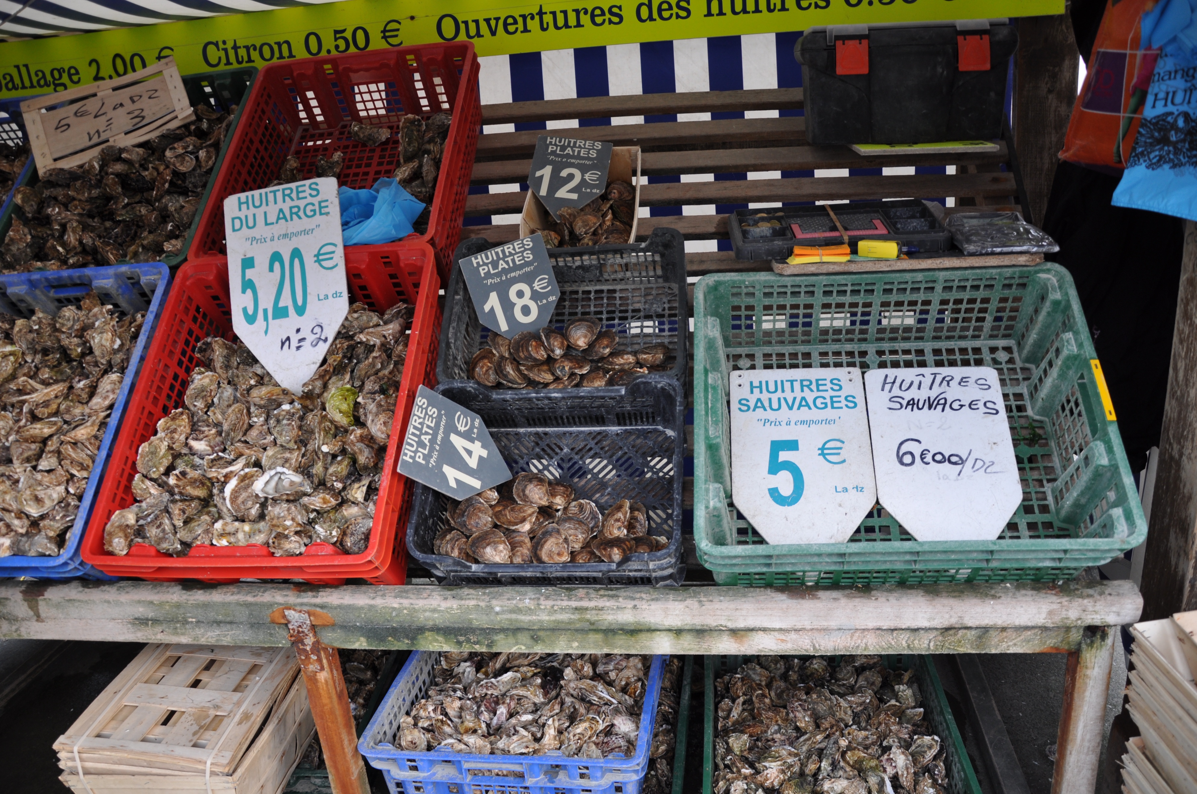 生蚝之都康卡勒：凯撒大帝太阳王拿破仑三世青睐，美味流传两千年
