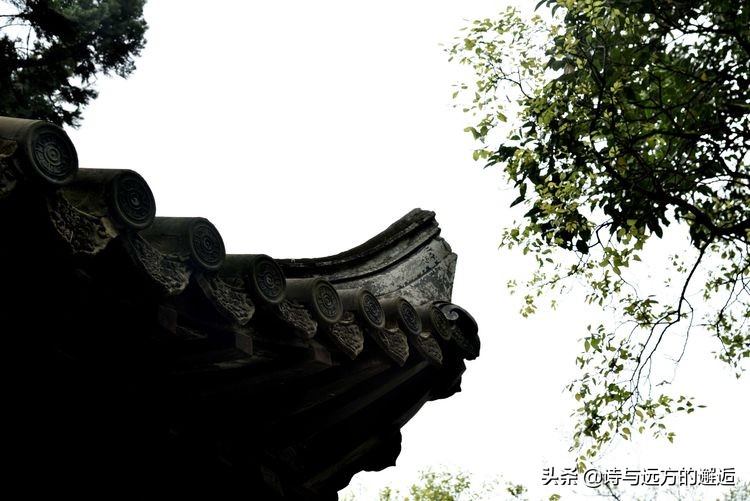 走走看看：接天莲叶无穷碧，映日荷花别样红——古漪园赏荷