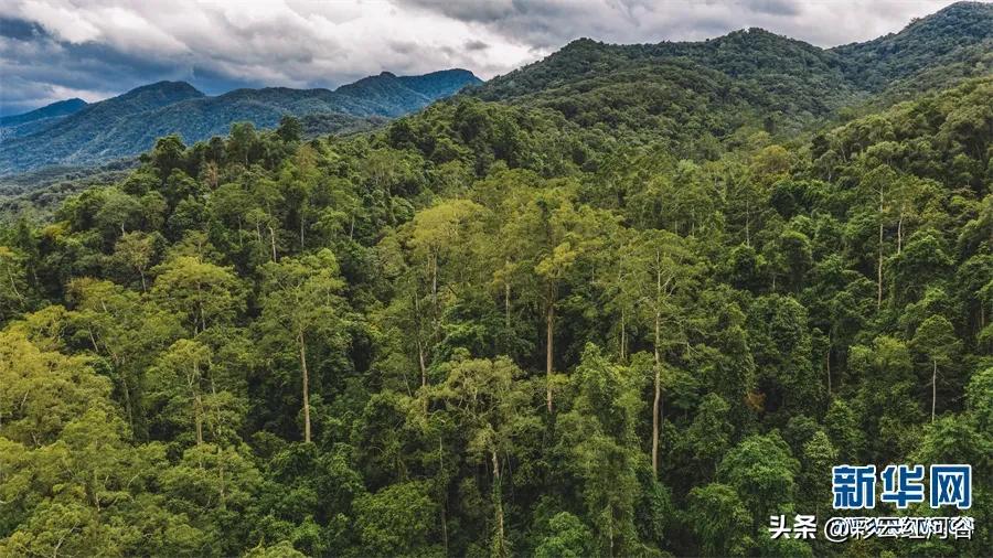 景洪夜景最好的地方,景洪边境是在什么地方