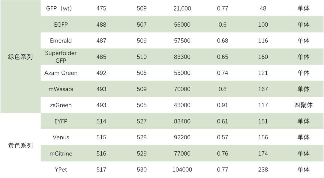 免疫荧光与荧光蛋白的优缺点,标签蛋白