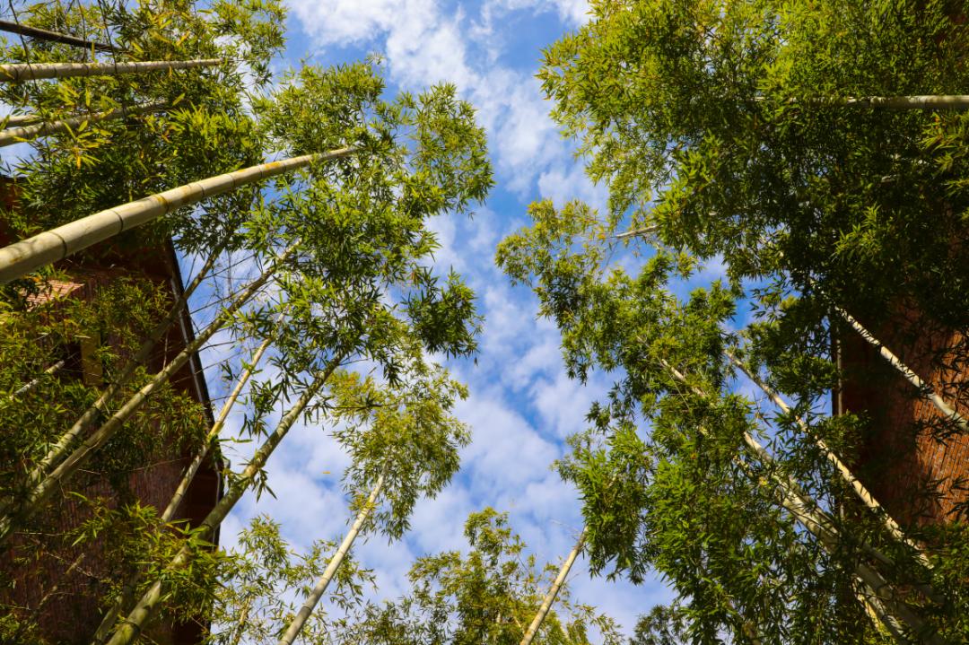 适合春天去的美宿,湖景美宿推荐