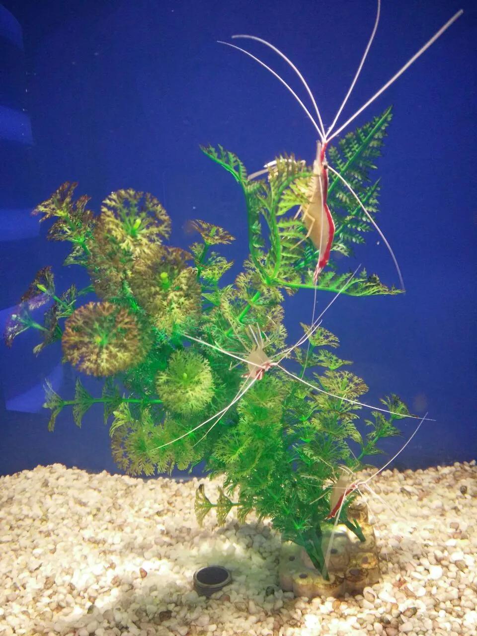 蓝色海景壁纸图片大全,海景壁纸4k超清全面屏