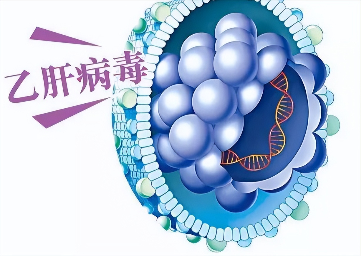 给小三阳患者的一些建议