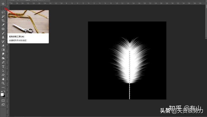 ps怎么制作羽毛动画教程,ps羽毛飞舞特效教程