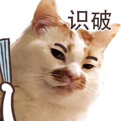 交警识破假驾驶证,交警查处使用伪造驾驶证案件