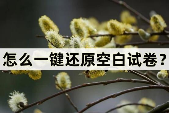 一键还原空白试卷是什么软件,还原空白试卷好用吗