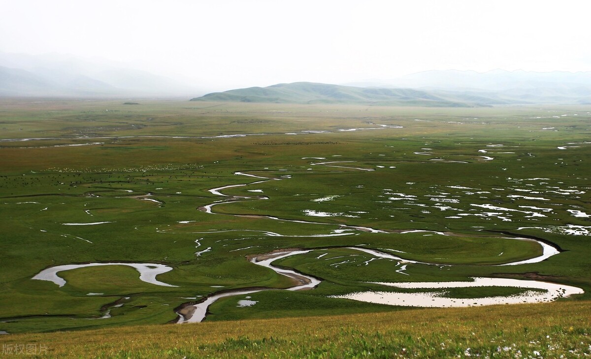 中国饲料靠进口吗,中国粮食安全靠什么