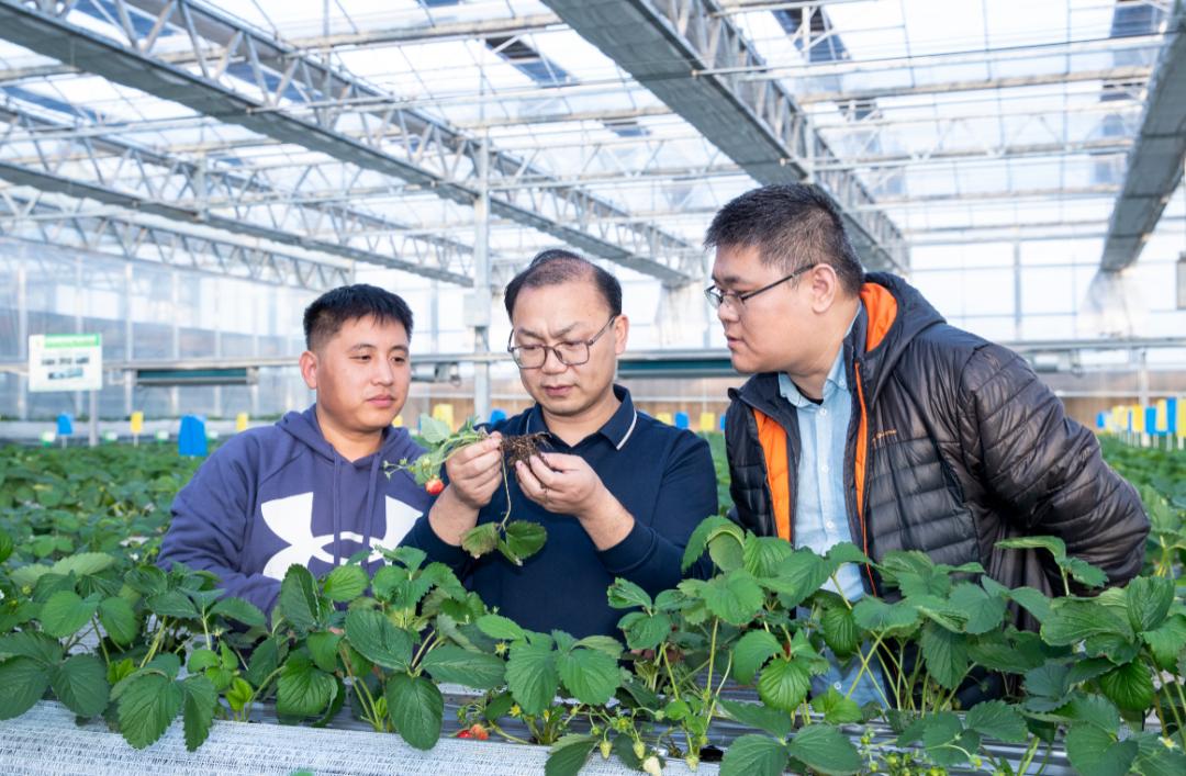 王全智：唤起“后千禧一代”的乡村使命感