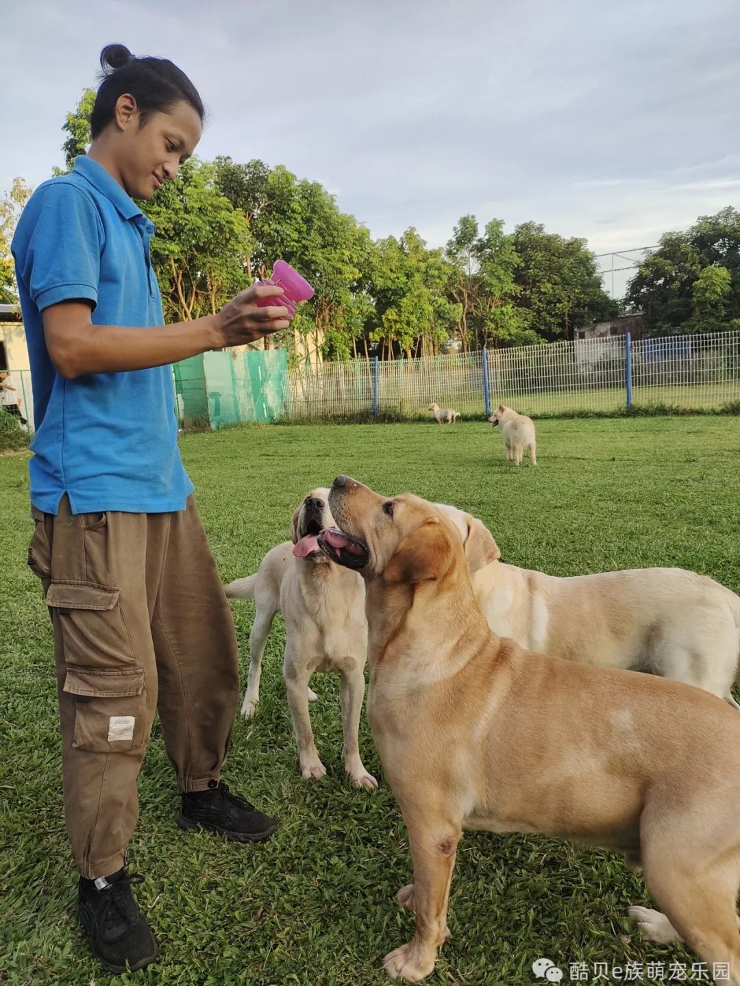 酷贝现在怎样了,你踩过坑吗测试