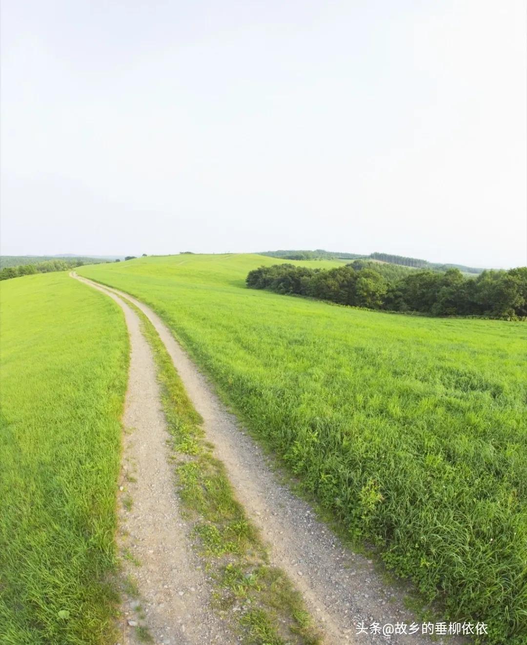 追牛族牛仔骨,追击者32集全集免费