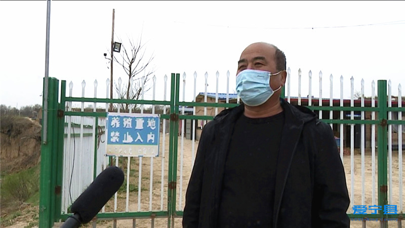 春季动物防疫工作开展情况,甘肃庆阳宁县防疫最新消息