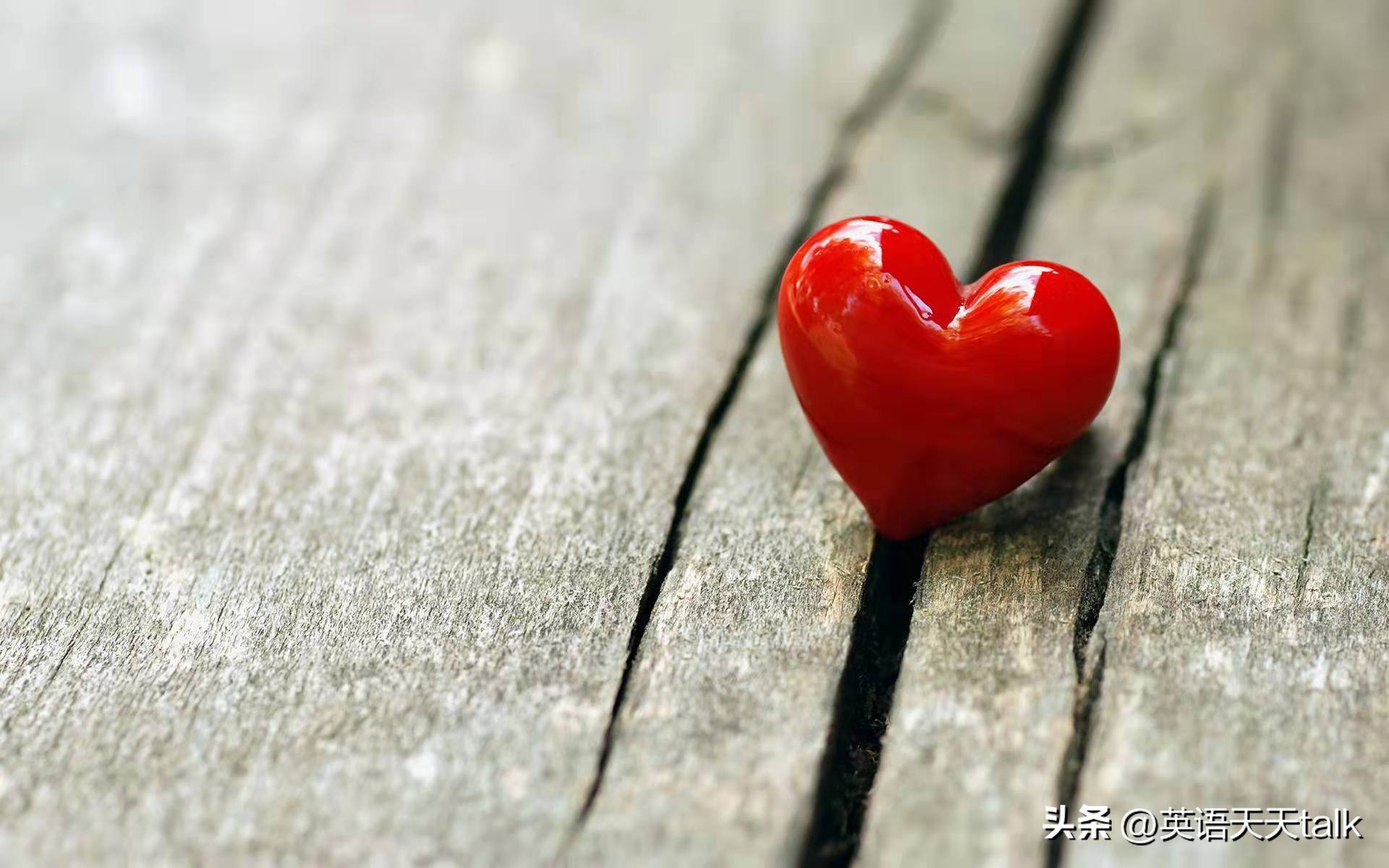 love是“爱情”,rat是“老鼠”,英语loverat到底是什么意思呢?