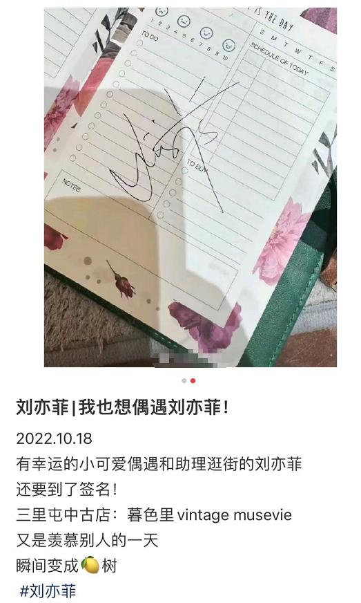 刘亦菲逛街被偶遇三里屯,网友偶遇刘亦菲买行李箱