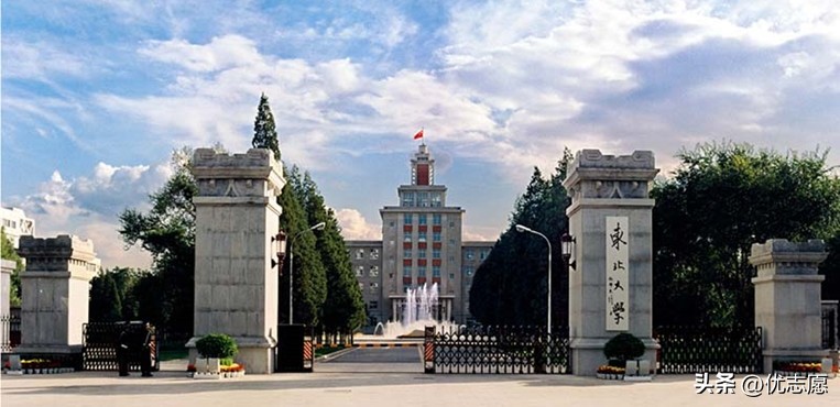 2019东北大学就业质量,东北大学2024就业情况