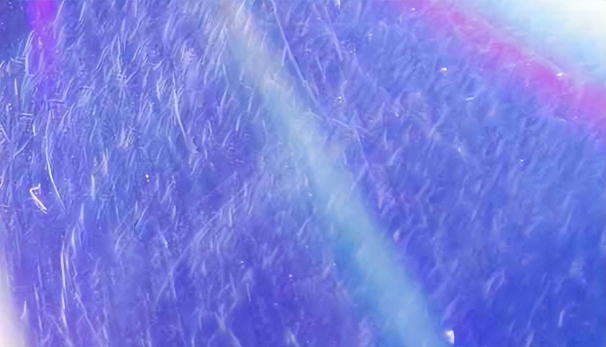 儿童电动牙刷排名第一名正品测评,徕芬2023电动牙刷