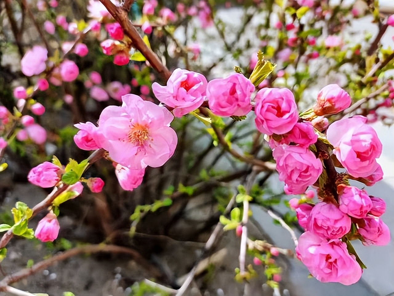 暧昧后说做朋友的都是烂人,和暧昧过的人不可以再联系