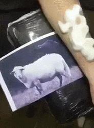 妹子，你的背的包很别致啊，旁边兄弟盯得眼都直了，哈哈哈哈哈哈