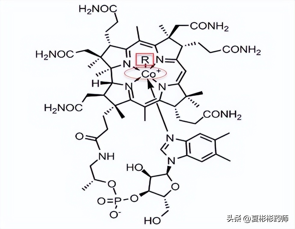 b12腺苷钴胺与甲钴胺副作用区别,一文读懂丁二醇