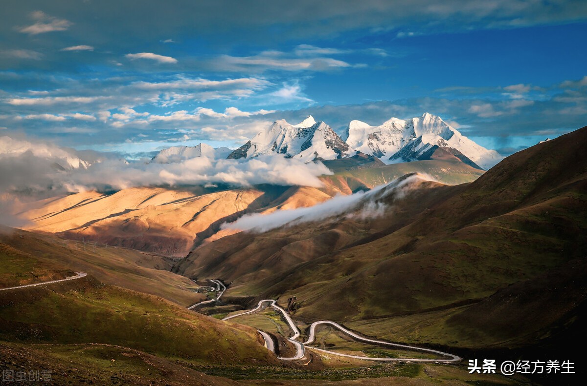 为什么药材没有效果,单一的药材真有用吗