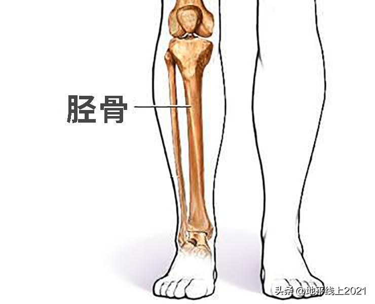 小孩被自行车撞康复要赔偿,孩子不小心被自行车撞了一下