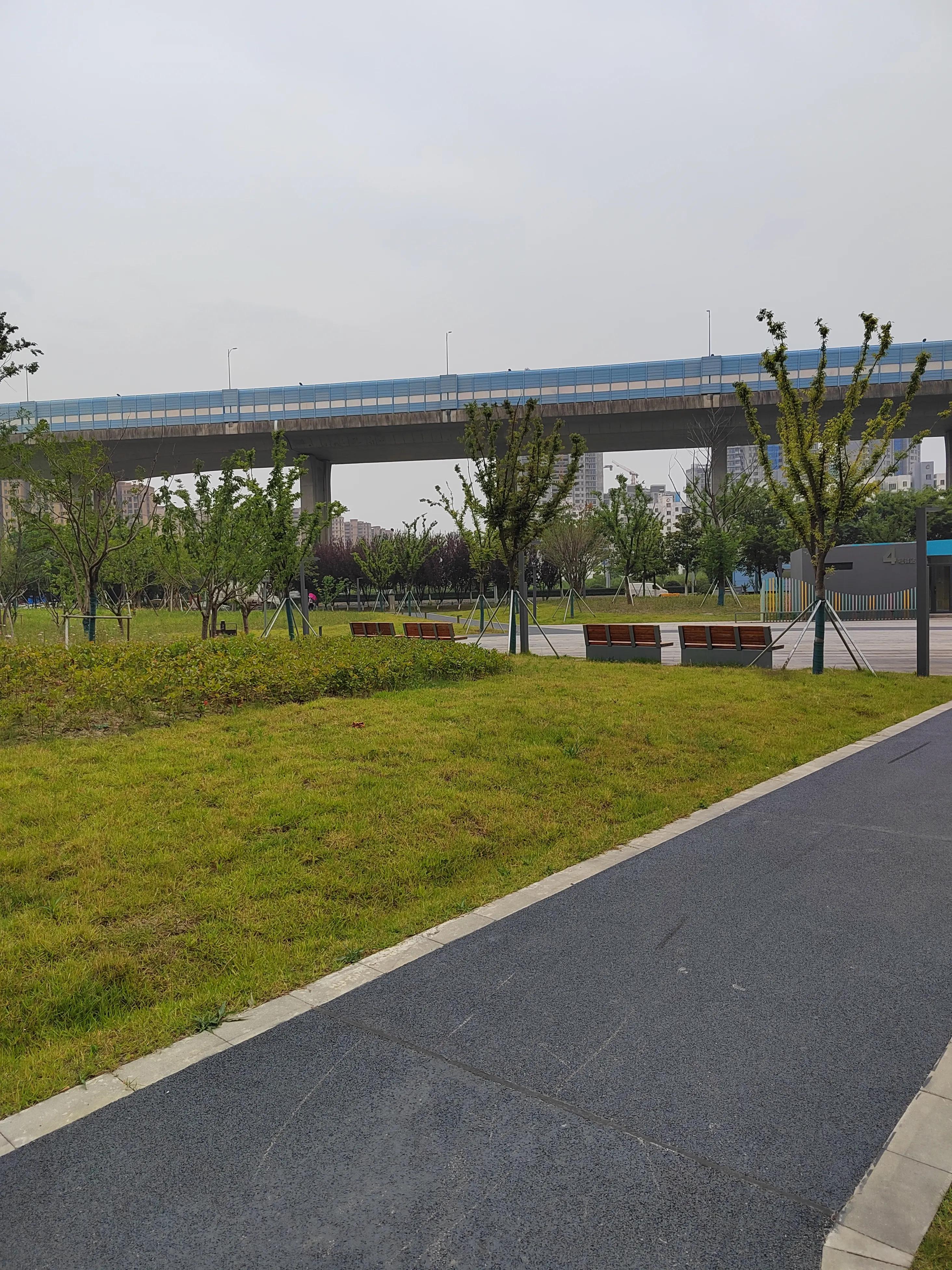 对广场舞的管理措施和建议,对园所管理与发展意见或建议