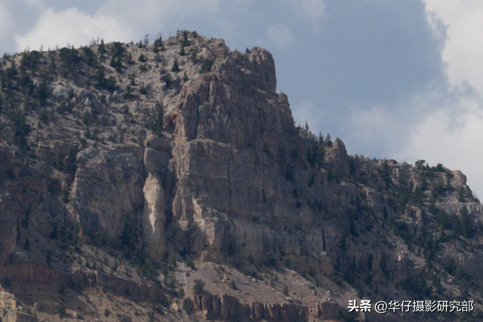 尼康z9视频高品质和普通品质区别,尼康z9再传新消息8月或开启实测