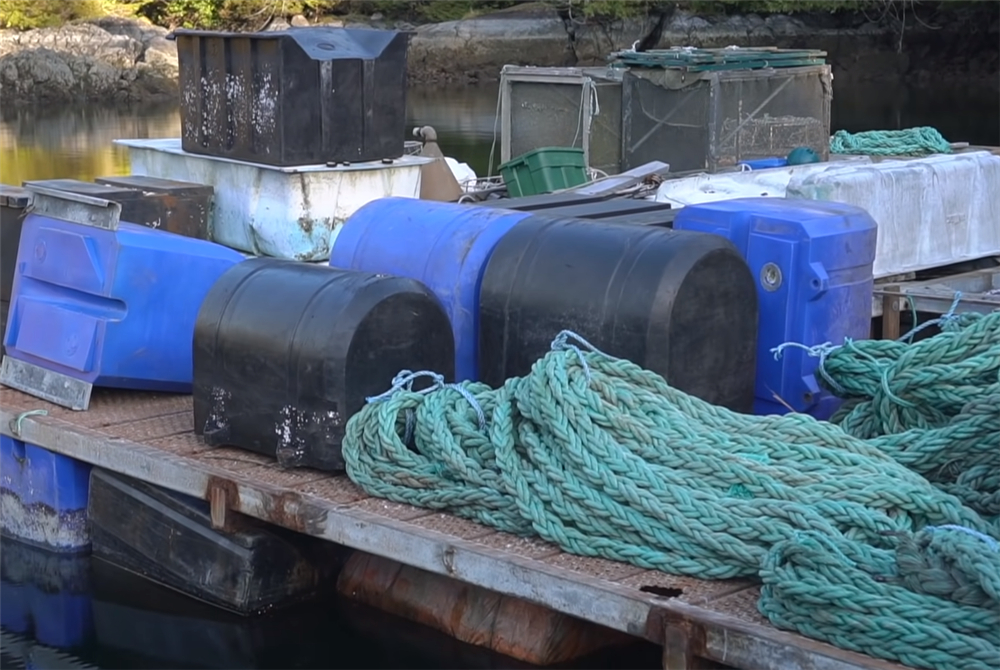 夫妻二人买下海岛过起隐居的生活,夫妻隐居小岛与世隔绝