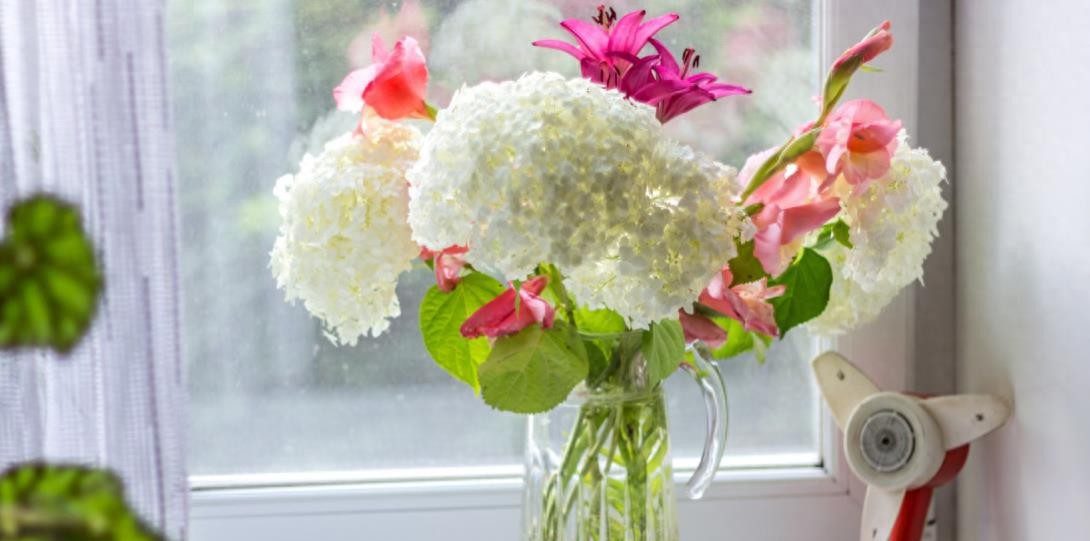 涓婃捣鏈夊彲浠ュ畨涔愭鐨勫尰闄㈠悧,涓婃捣鍝釜鍖婚櫌鏈夊畨涔愭妗堜緥