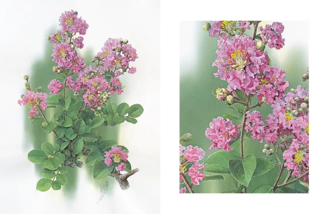 82岁老爷爷每天沉浸工作九小时,82岁爷爷每一天工作八小时