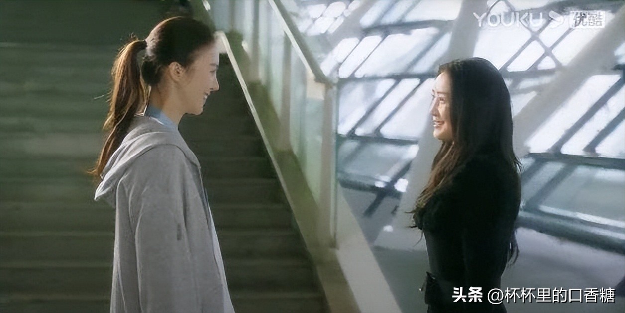 炽道王安宇和金晨引体向上,炽道王安宇和金晨在一起