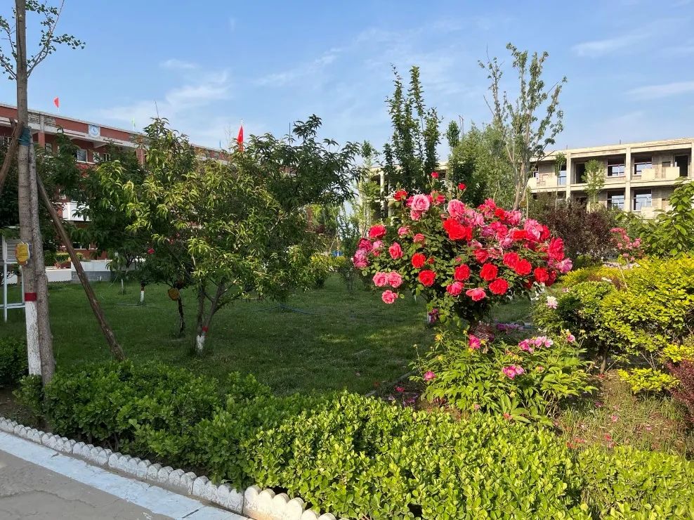 把所有孩子赶出去的游戏,把小孩子扔到外面的游戏