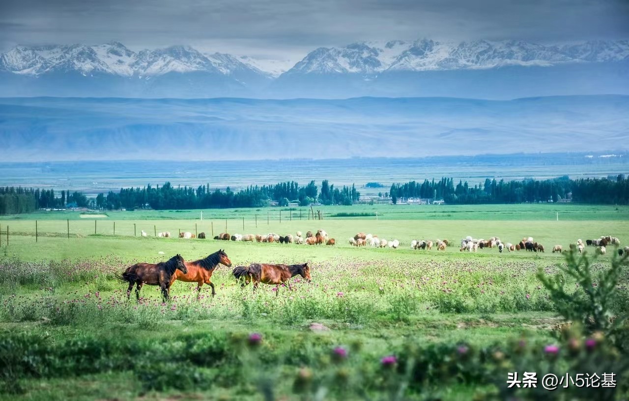 打折股票怎么买,跟着公募基金买股可行吗