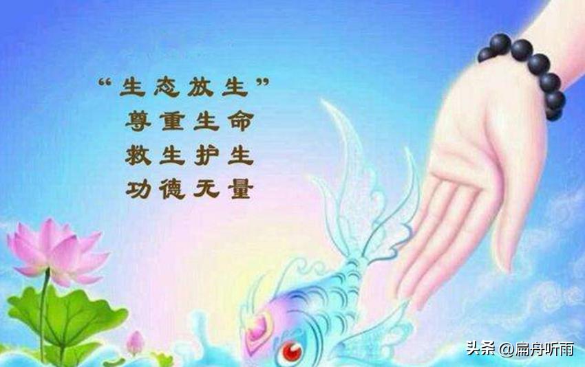 放生是生命的最高境界,放生的感悟真实故事