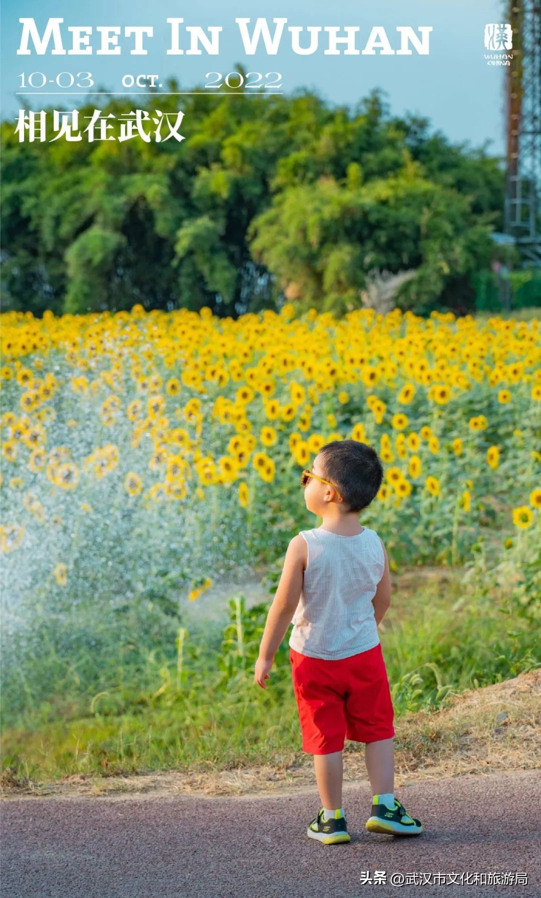 武汉市区内最大的向日葵花海开了,武汉最大的向日葵基地