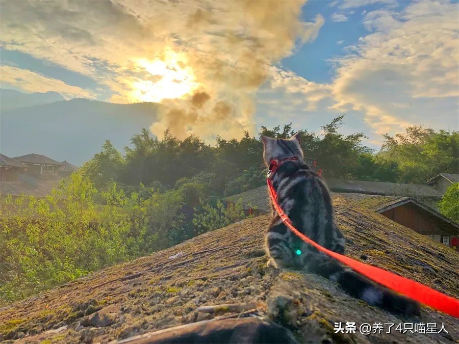英德野渡谷轻奢民宿,清远住在山里的民宿