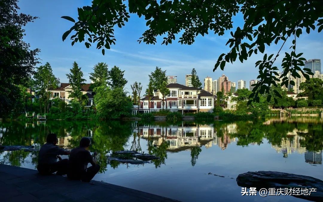 从*旗国**手到保安，我与香樟林守望20年