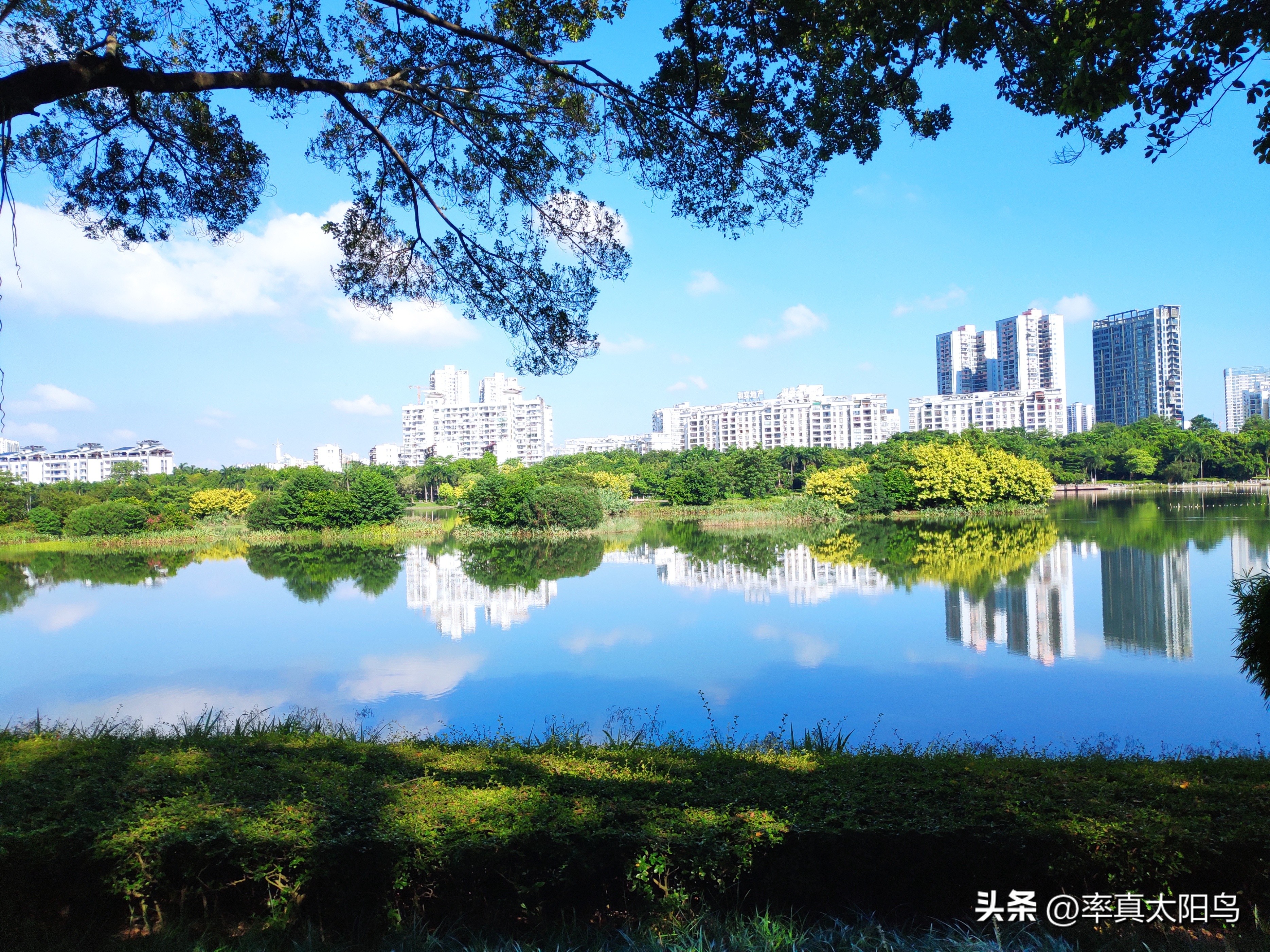 秋水之韵文章,秋水之韵抖音