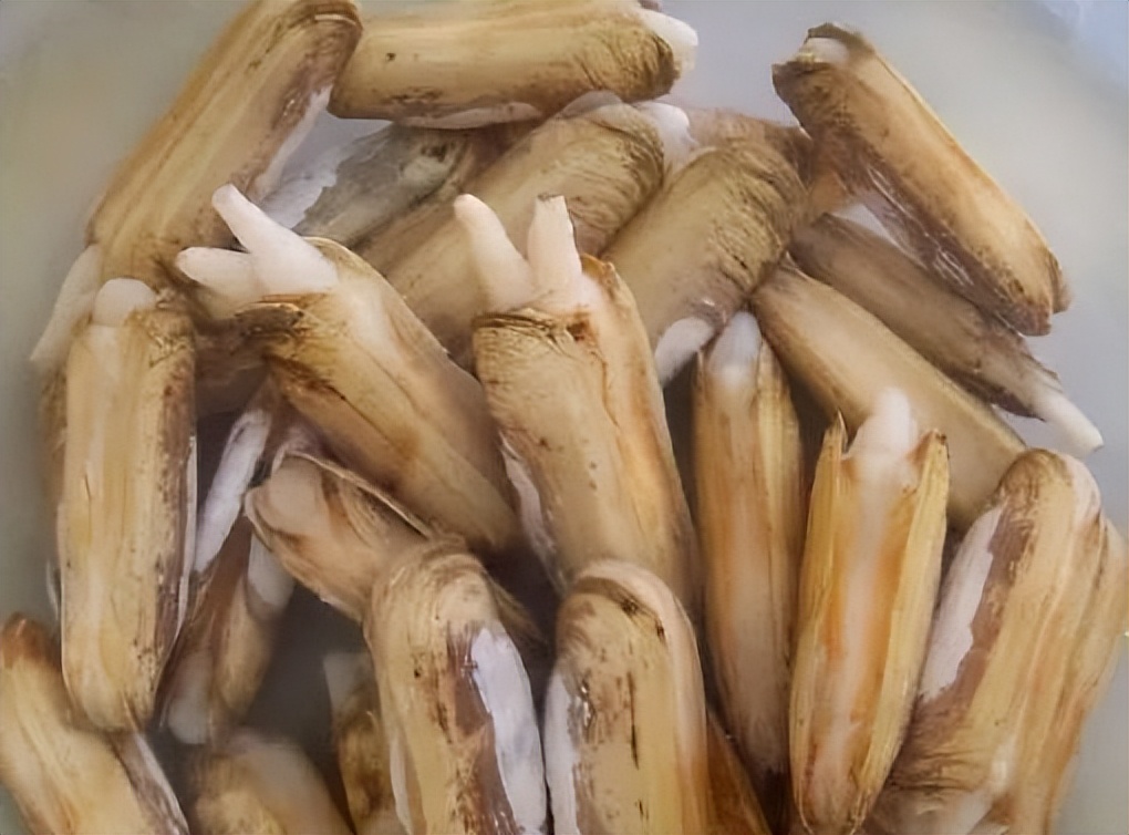 秦皇岛夏日美食攻略,去秦皇岛必吃的十种美食