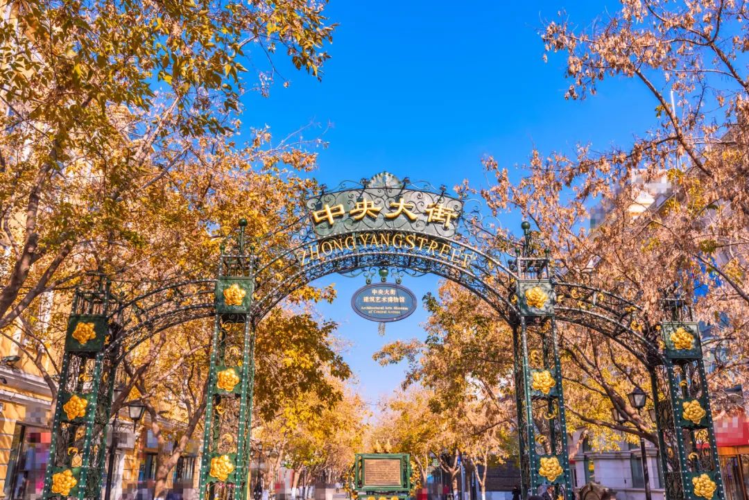 东北偏僻山村真实生活,东北冷不冷的真实生活