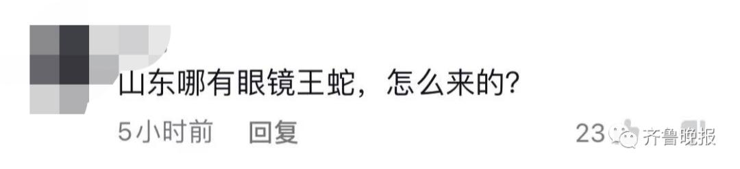 蛇总是偷吃鸡蛋怎么办,2米长蛇惊现居民楼