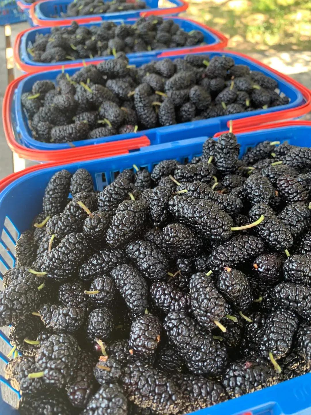 五一秦皇岛小众旅游,秦皇岛一日游最值得去的地方