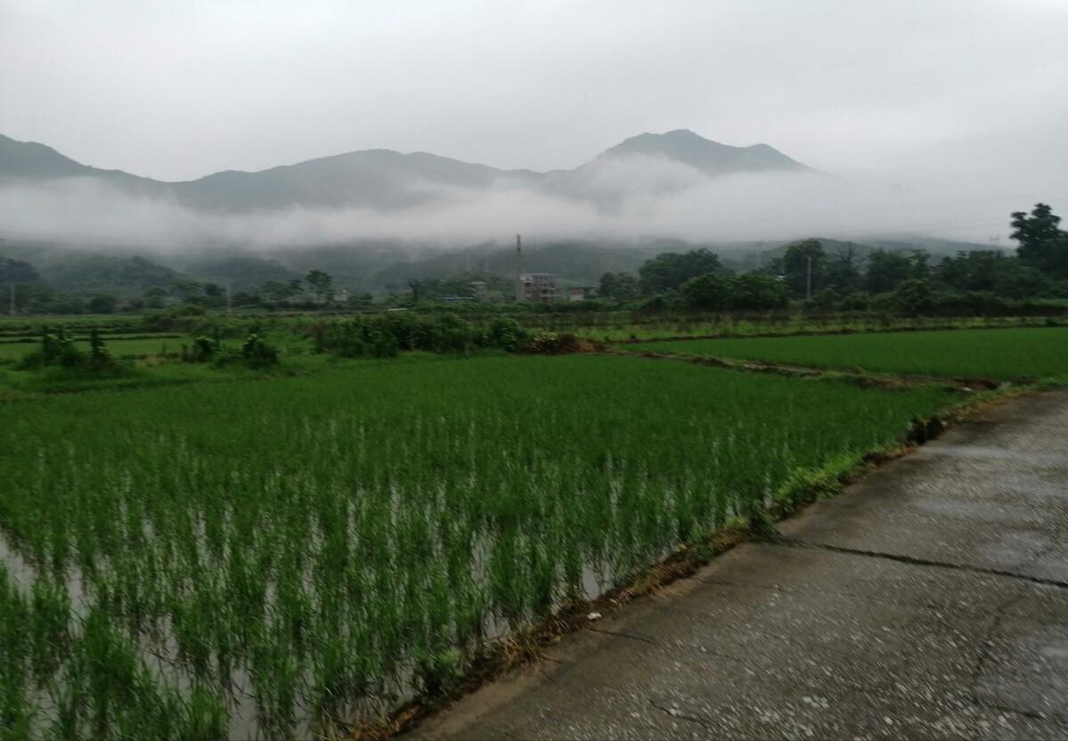90鍚庡コ瀛╄繑涔″垱涓氱灏忕ɑ,90鍚庤繑涔″垱涓氬ぇ瀛︾敓绉嶆姘寸ɑ