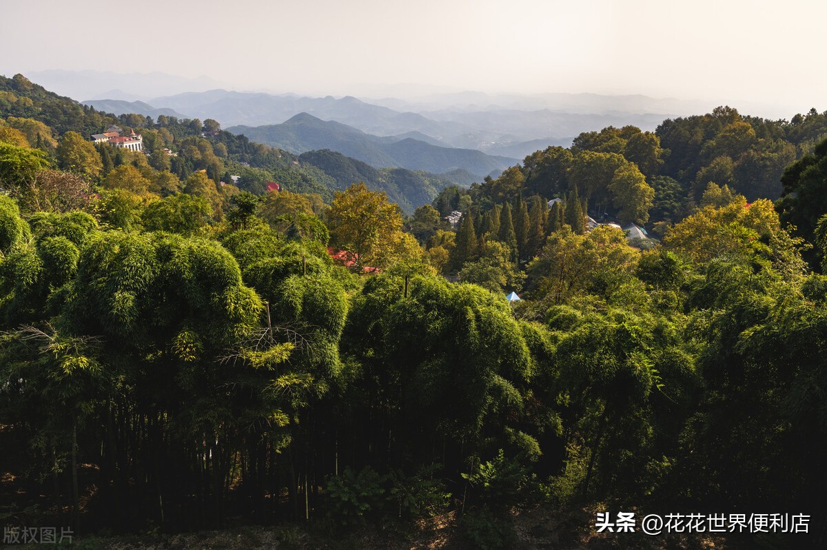 浙江湖州:景美人善不宰客,很多人都忽略了它
